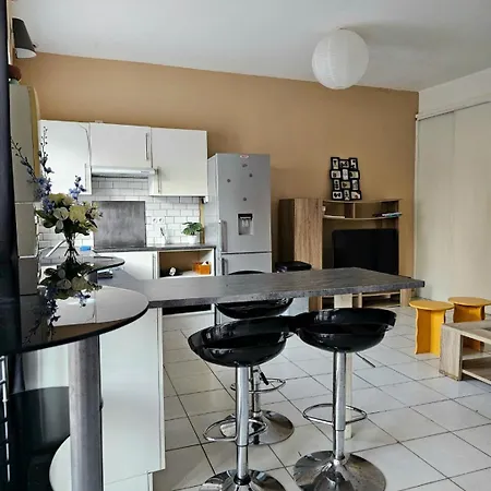 Quartier Episcopal 56m2 Proche Passerelle Et Cathedrale * Albi