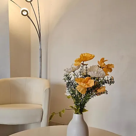 Cite Episcopale Proche Cathedrale Et Passerelle Tatil Evi Albi