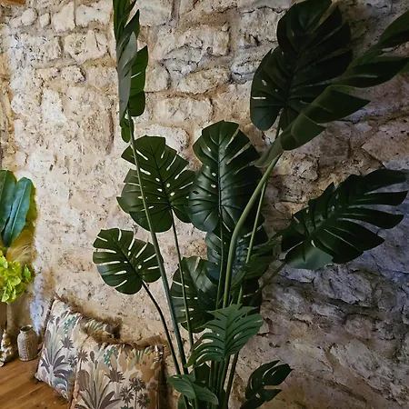 Cite Episcopale Proche Cathedrale Et Passerelle Albi