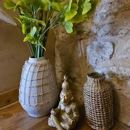 Cite Episcopale Proche Cathedrale Et Passerelle Tatil Evi Albi