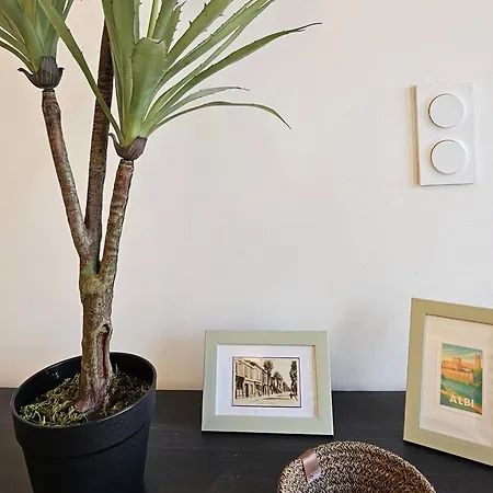 Cite Episcopale Proche Cathedrale Et Passerelle