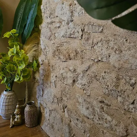 Cite Episcopale Proche Cathedrale Et Passerelle Tatil Evi