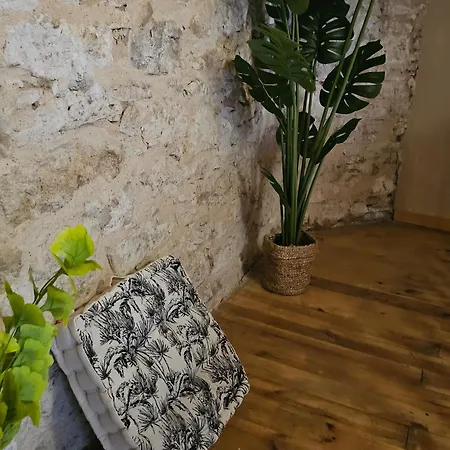 Ferienhaus Quartier Episcopal 56m2 Proche Passerelle Et Cathedrale Albi