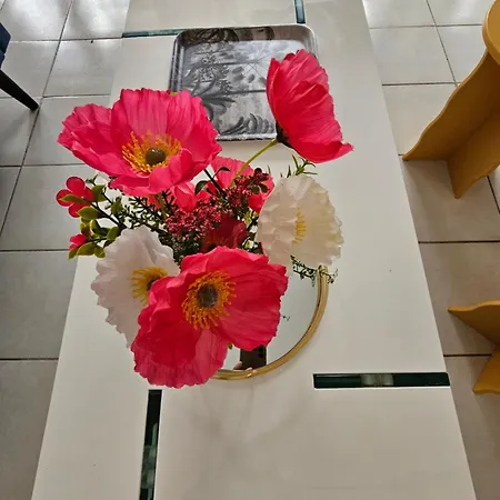 Cite Episcopale Proche Cathedrale Et Passerelle Tatil Evi *