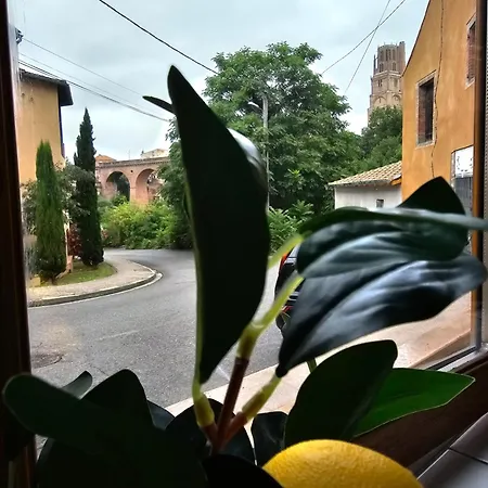 Tatil Evi Cite Episcopale Proche Cathedrale Et Passerelle Albi