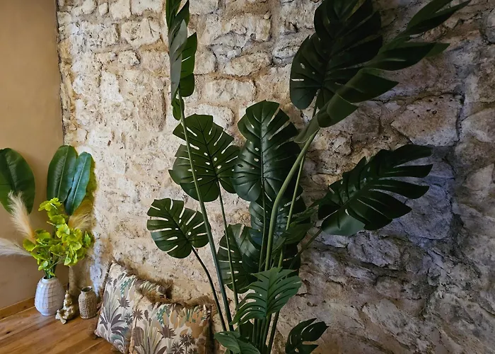 Cité Episcopale Proche Cathédrale Et Passerelle Albi