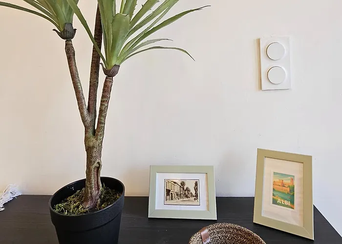 Cité Episcopale Proche Cathédrale Et Passerelle