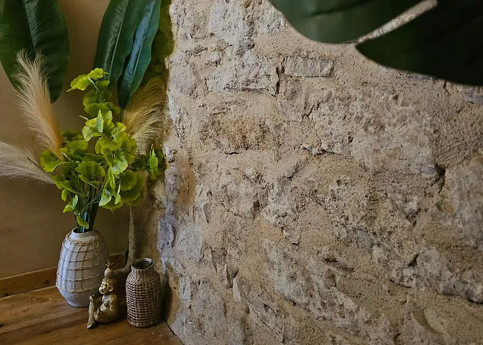 Cité Episcopale Proche Cathédrale Et Passerelle Hébergement de vacances