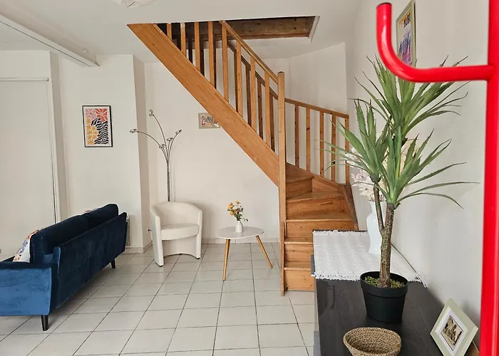 Hébergement de vacances Cité Episcopale Proche Cathédrale Et Passerelle Albi