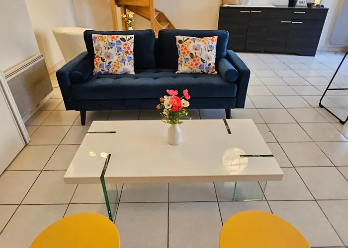 Cité Episcopale Proche Cathédrale Et Passerelle * Albi