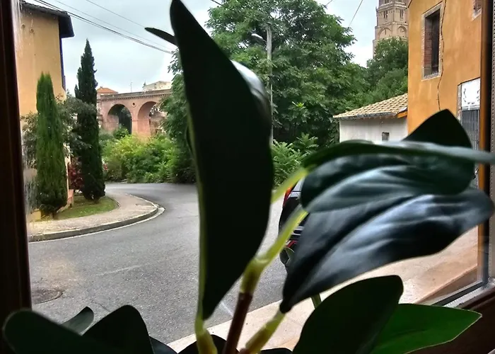 Hébergement de vacances Cité Episcopale Proche Cathédrale Et Passerelle Albi